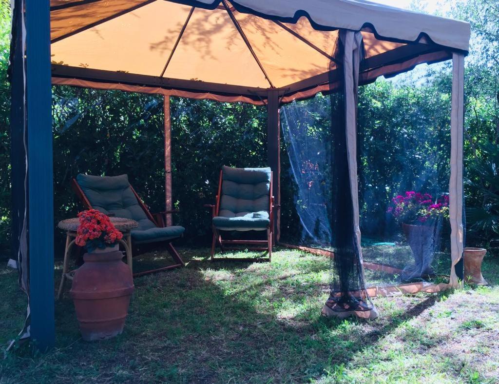 Cedro Del Libano Apartman Castiglioncello Kültér fotó